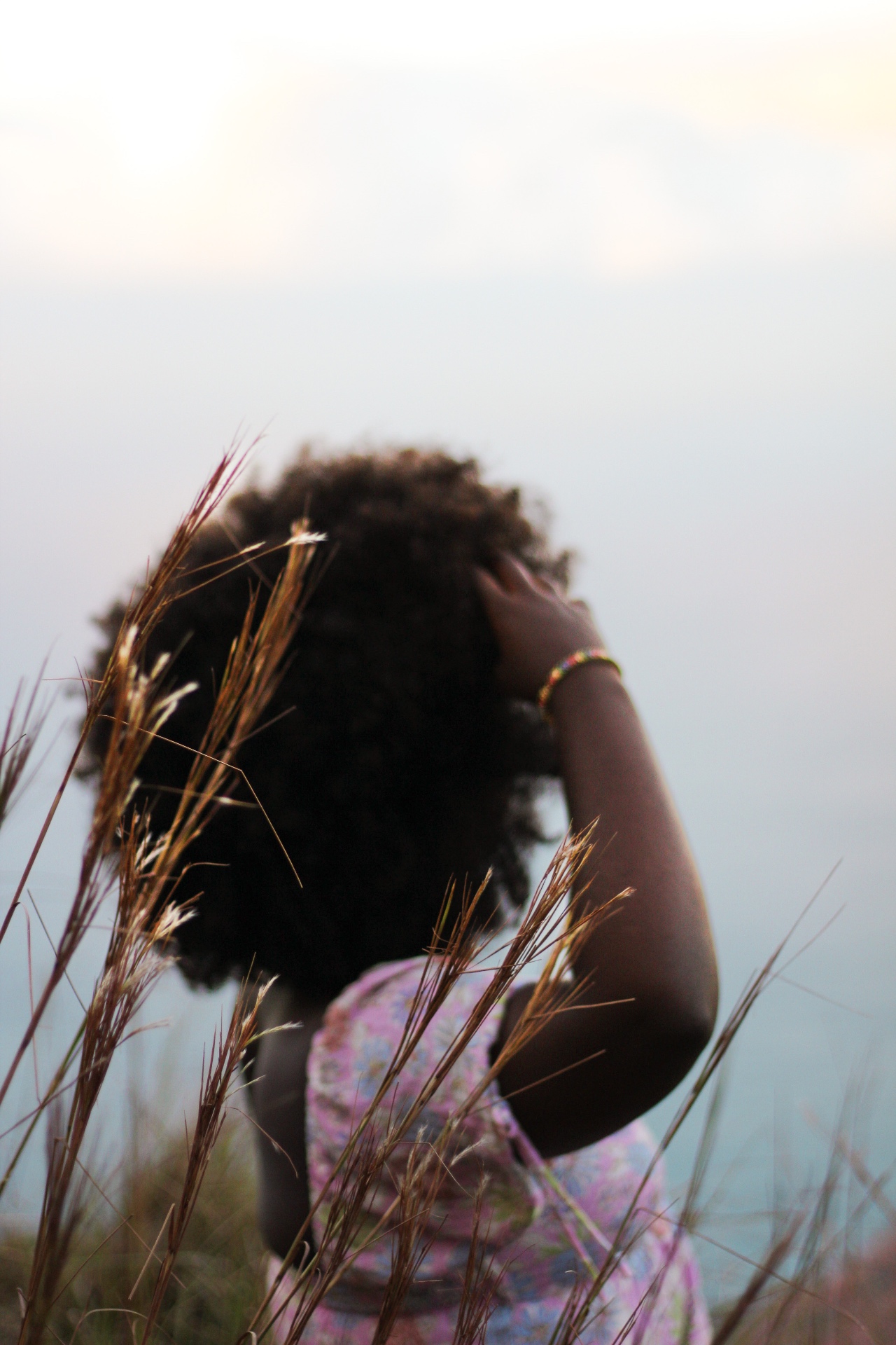 Portrait from behind in tall golden grasses at dusk, Kauaʻi